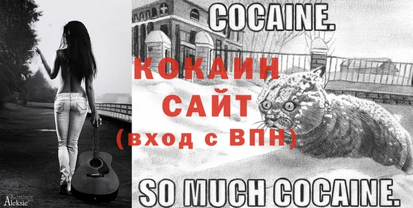 кокс Инта