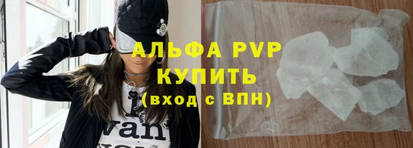 ПСИЛОЦИБИНОВЫЕ ГРИБЫ Иннополис