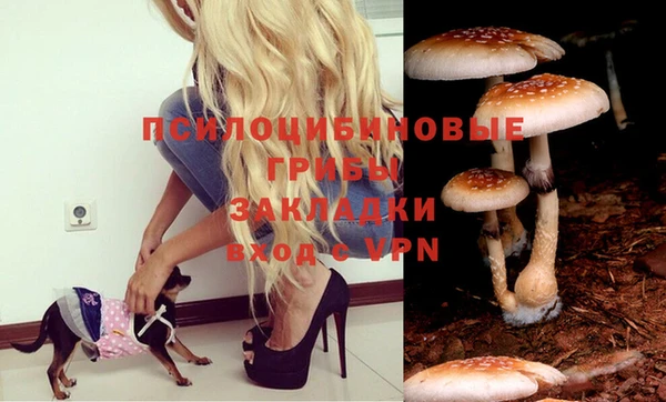 гашиш Алагир
